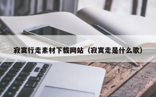 新沂寂寞行走素材下载网站（寂寞走是什么歌）