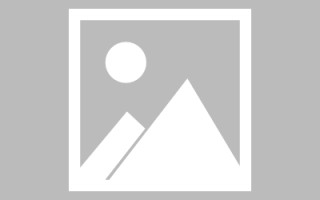 新沂广州专业搭建网站平台（广州网站建设方案开发）